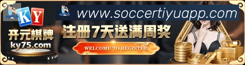 未来规划